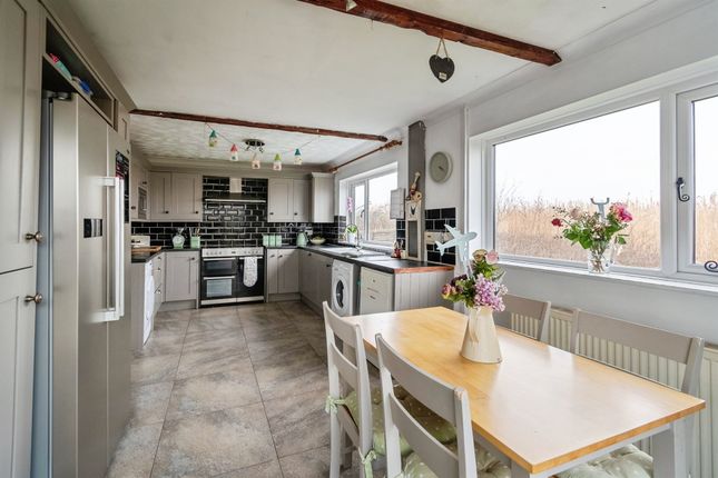 2, Tiddly Wink, Chippenham photo 4