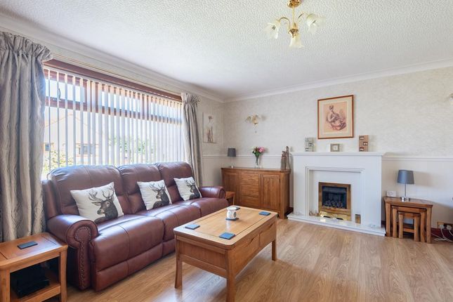 74, Kirklands Park, Cupar photo 4