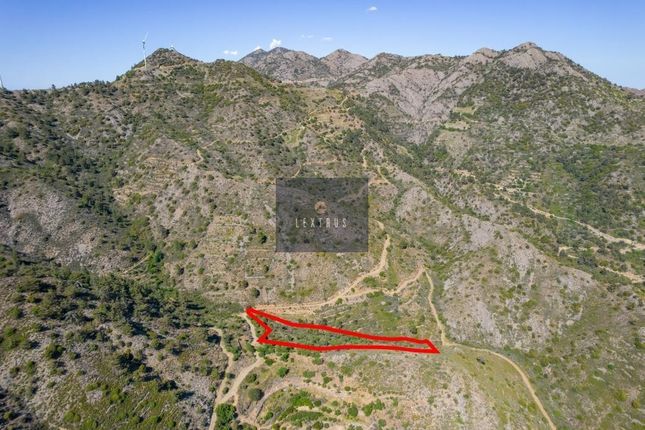 Land for sale in Sykopetra 4569, Cyprus