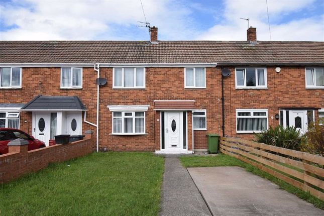 Homes to Let in South Shields - Rent Property in South Shields