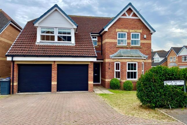 Thumbnail Detached house for sale in Lower Pasture, Blaxton, Doncaster