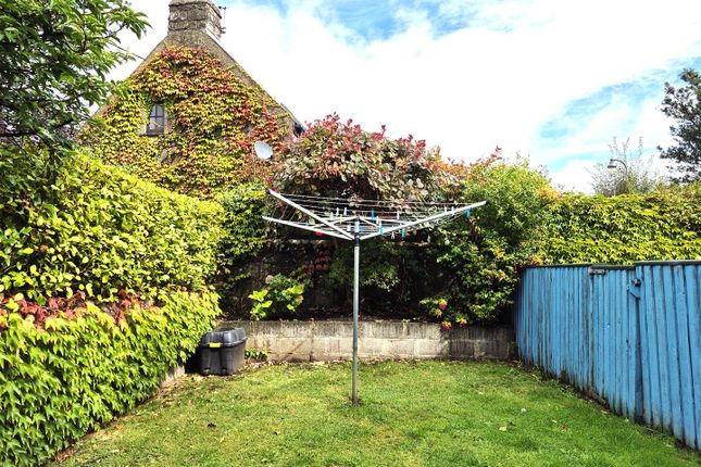 Garden.Jpg