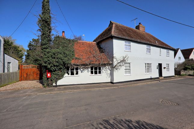 Fosters, The Street, Maldon photo 3