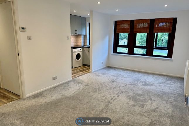 Rex Court, Haslemere photo 3
