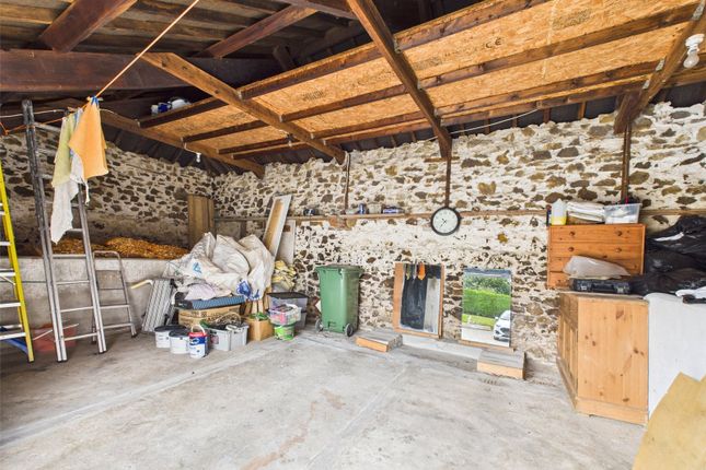 Presannia,, Derriton, Devon photo 3