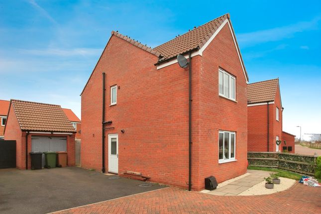 Thumbnail Detached house for sale in Nero Place, Peterborough