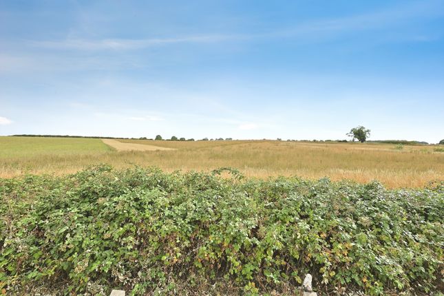 39, Parklands, Pudding Norton photo 4