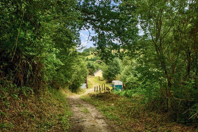 NEW LODGE, Carmarthen photo 4
