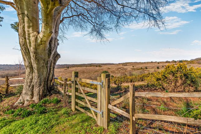 Jacks Platt,, Duddleswell, East Sussex photo 3
