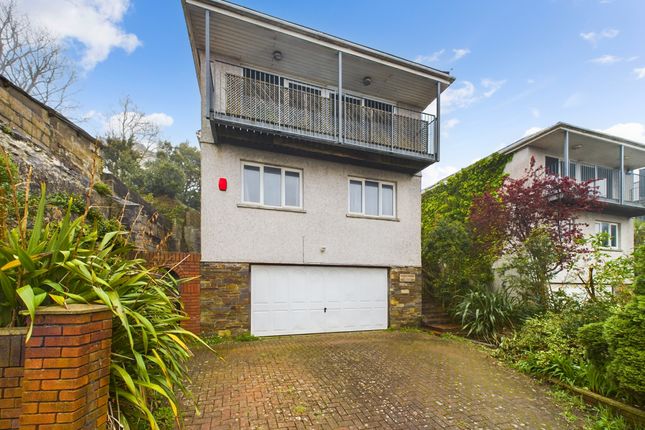 Detached house to rent in Elm Road, Mannamead, Plymouth