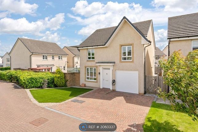 Bathgate photo 2