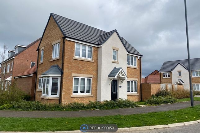 Thumbnail Detached house to rent in Beaumont Way, Consett