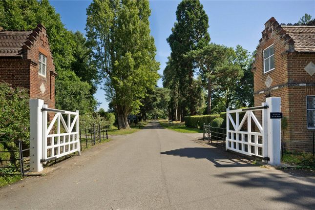 Detached house to rent in Sutton Park, Sutton Green, Guildford, Surrey