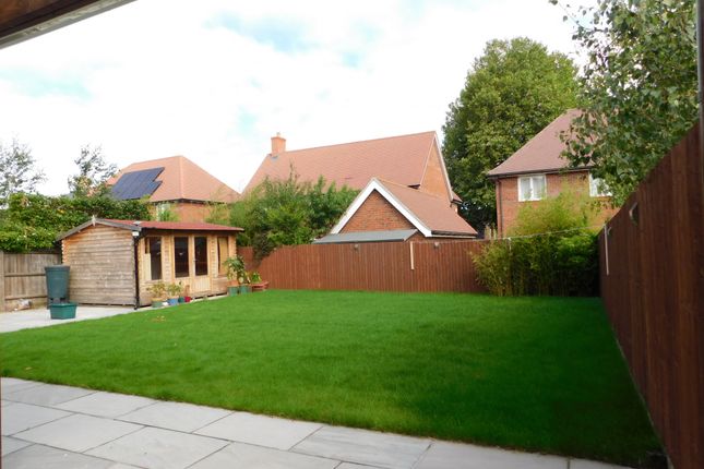 Detached house to rent in Ruth King Close, Colchester, Essex