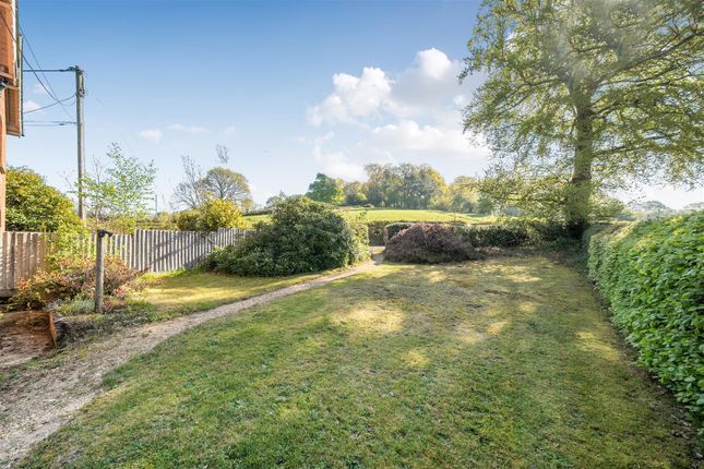 Sunnyside Cottage, Abbotswell Road, Blissford photo 3