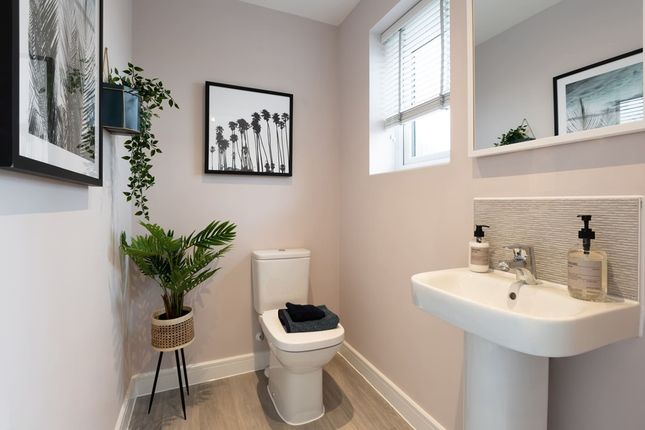 The Ashenford - Plot 242, Weldon Manor, Burdock Street, Priors Hall Park Zone 2, Corby photo 4
