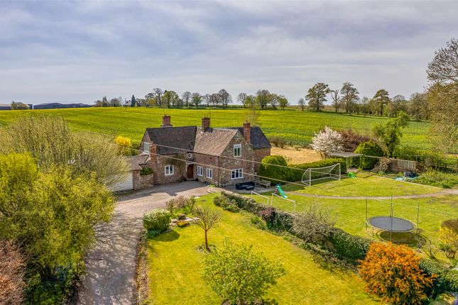Dji_0932-Edit.Jpg
