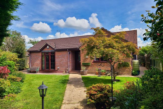 Detached bungalow for sale in Snellgrove Place, Southampton