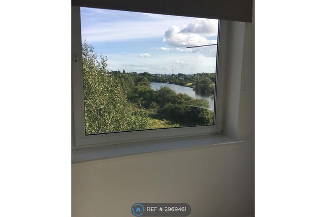 Willow Sage Court, Stockton photo 3