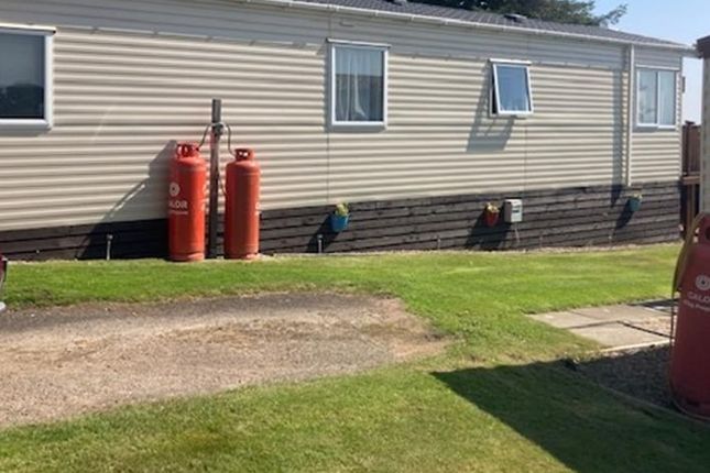 80, Leven photo 2