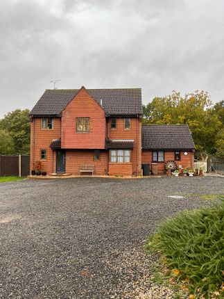 Farmhouse for sale in Well Lane, Stock, 9