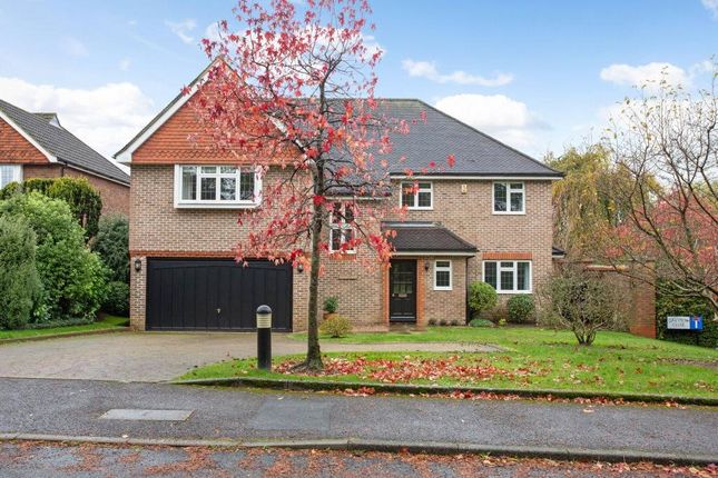 Thumbnail Detached house to rent in Oakfield Road, Harpenden, Hertfordshire