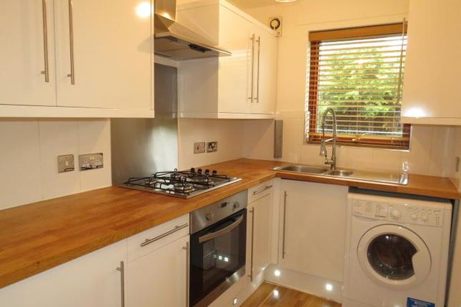 Flat to rent in Mote Hill, Hamilton