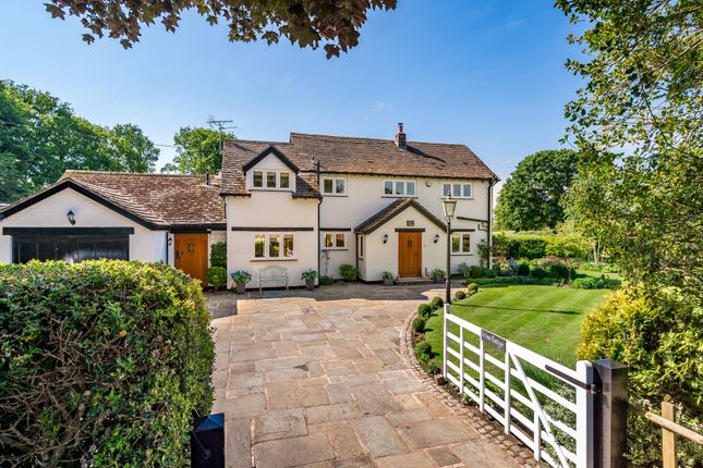 White Cottage