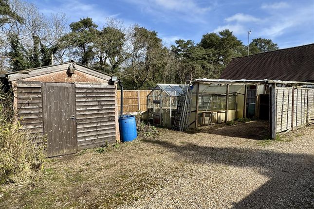 Fairmile, Thursley Road, Elstead photo 4