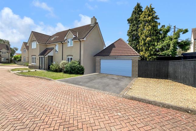 Front / Driveway