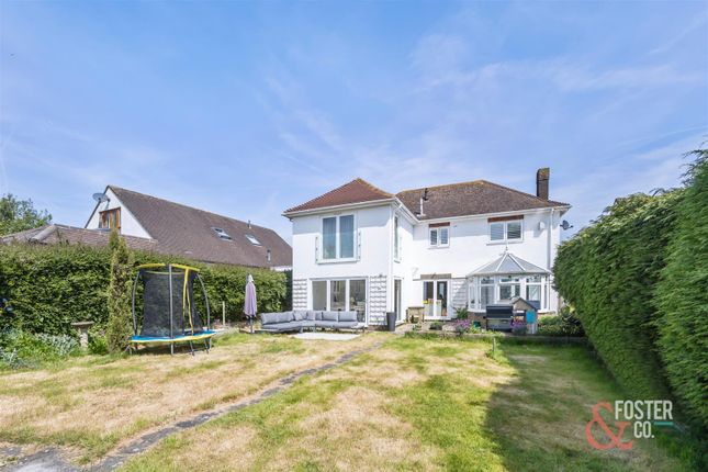 Thumbnail Detached house for sale in Green Ridge, Brighton