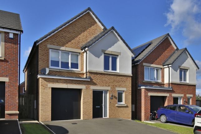 Thumbnail Detached house to rent in Hornbeam Close, Durham, County Durham