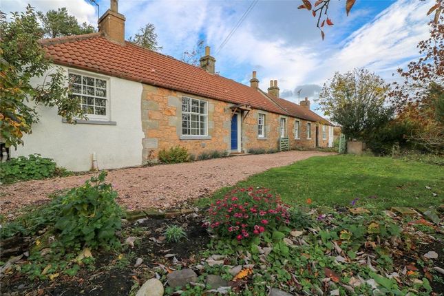 Thumbnail Cottage to rent in Lucklaw Farm Cottage, Balmullo, Fife
