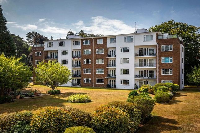 Avenue Court