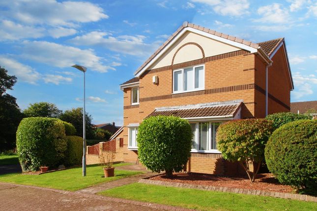 Thumbnail Detached house for sale in Dearham Grove, Cramlington