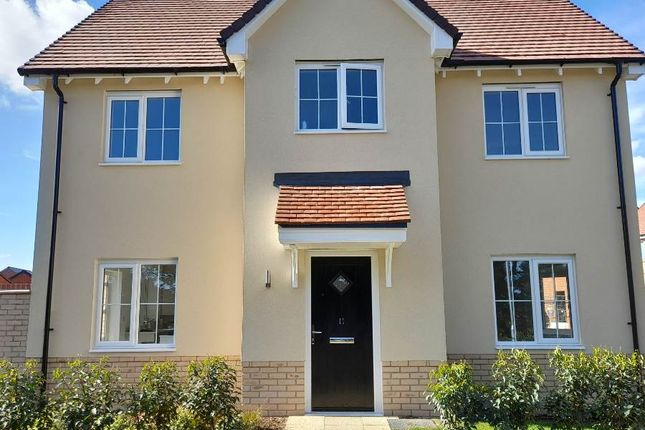 Thumbnail Detached house to rent in Blackwater Drive, Dunmow