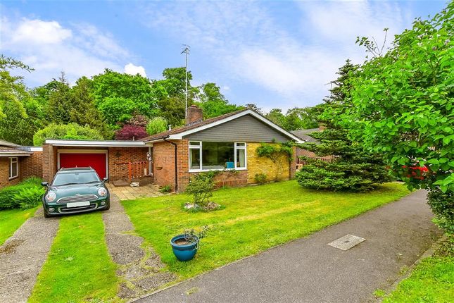 Thumbnail Bungalow for sale in The Close, Reigate, Surrey