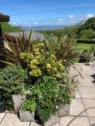Detached bungalow for sale in The Retreat, Llanmadoc, Gower, Swansea