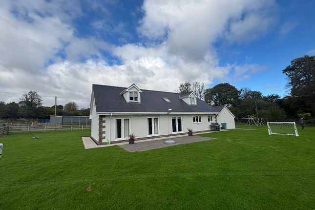 Dolydd Dwr, Drefach, Llanybydder photo 3