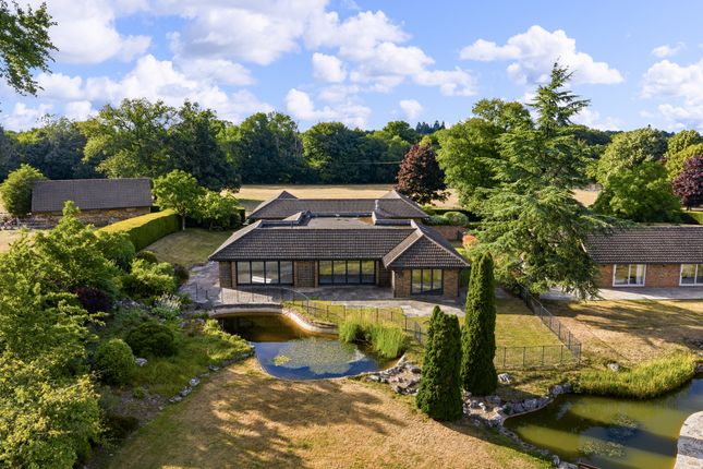The Pool House