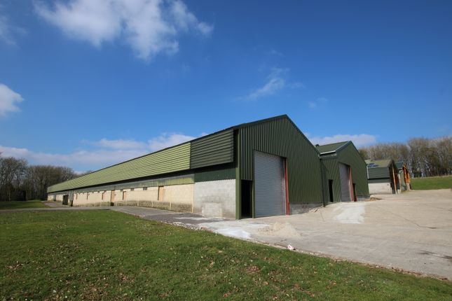 Thumbnail Light industrial to let in Building B, Dorset Business Park, Winterbourne Whitechurch