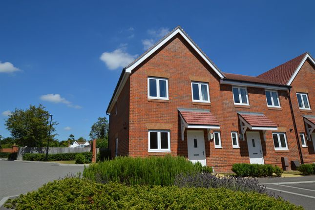 Thumbnail Terraced house to rent in 5 Merritt Place, Clanfield, Hampshire
