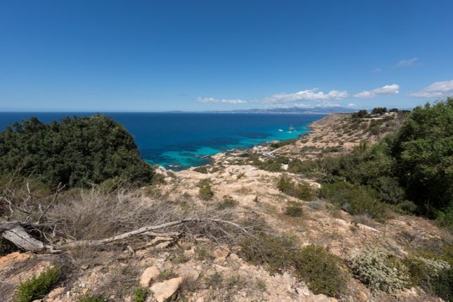 Land for sale in Puig De Ros, Llucmajor, Mallorca