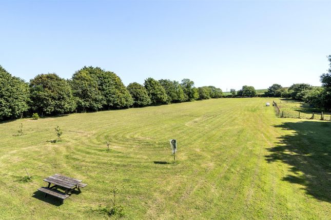 Mitchell Farm, Newquay photo 4