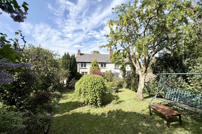 3 Gulliford Cottages, Exmouth Road, Exmouth photo 3