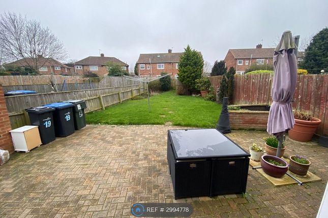 Newlyn Green, Middlesbrough photo 2