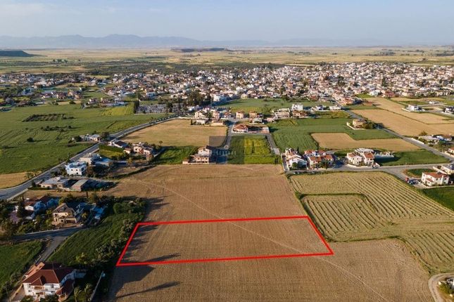 Thumbnail Land for sale in Larnaca, Cyprus