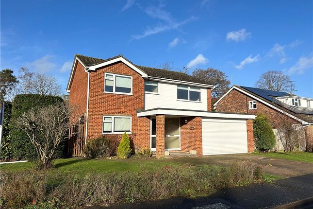 Thumbnail Detached house to rent in Evelyn Close, Woking, Surrey
