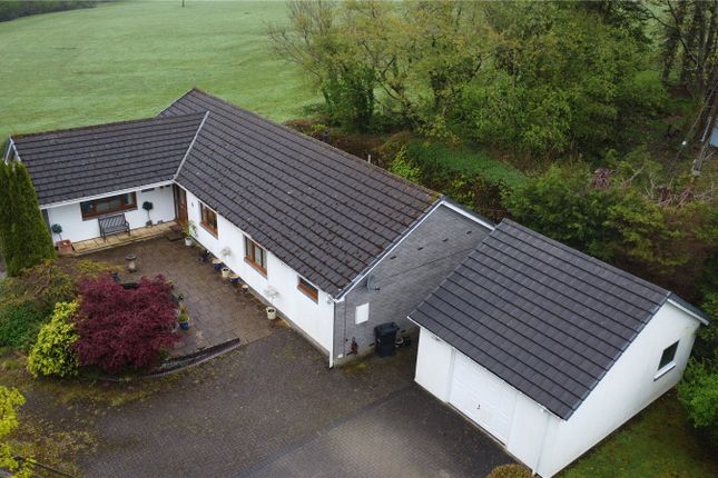 Thumbnail Bungalow for sale in Forge, Machynlleth, Powys
