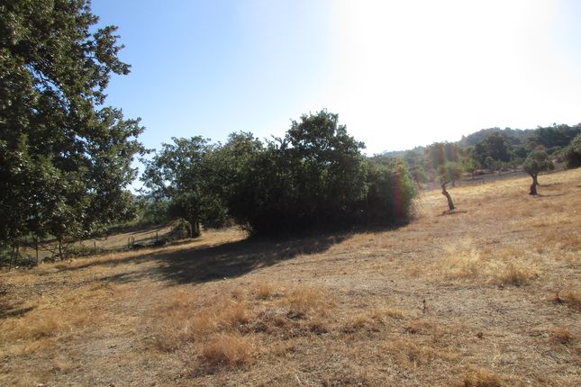 Farm for sale in Penamacor (Parish), Penamacor, Castelo Branco, Central Portugal